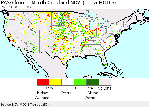 United States PASG from 1-Month Cropland NDVI (Terra-MODIS) Thematic Map For 10/8/2021 - 10/15/2021