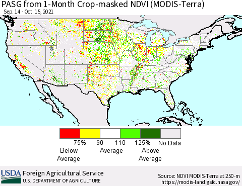 United States PASG from 1-Month Cropland NDVI (Terra-MODIS) Thematic Map For 10/11/2021 - 10/20/2021