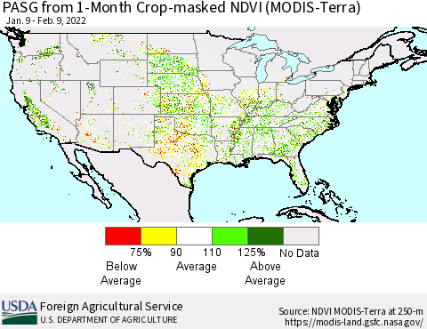 United States PASG from 1-Month Cropland NDVI (Terra-MODIS) Thematic Map For 2/1/2022 - 2/10/2022