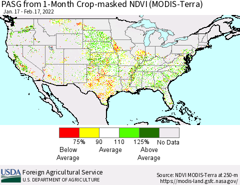 United States PASG from 1-Month Cropland NDVI (Terra-MODIS) Thematic Map For 2/11/2022 - 2/20/2022