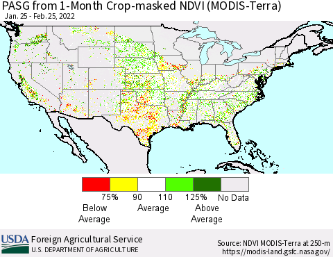 United States PASG from 1-Month Cropland NDVI (Terra-MODIS) Thematic Map For 2/21/2022 - 2/28/2022