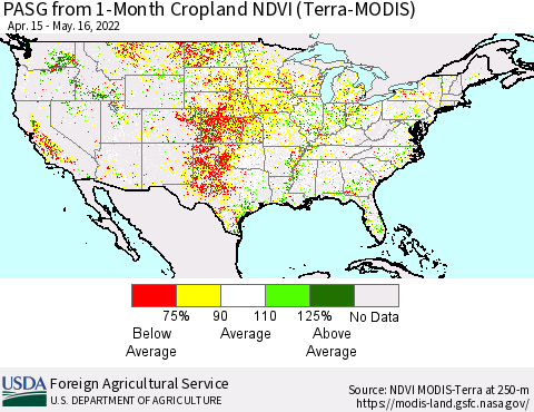 United States PASG from 1-Month Cropland NDVI (Terra-MODIS) Thematic Map For 5/11/2022 - 5/20/2022