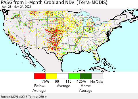 United States PASG from 1-Month Cropland NDVI (Terra-MODIS) Thematic Map For 5/17/2022 - 5/24/2022