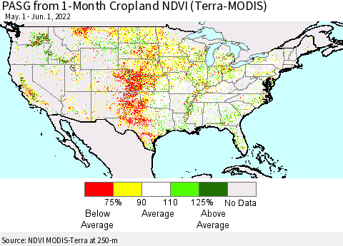 United States PASG from 1-Month Cropland NDVI (Terra-MODIS) Thematic Map For 5/25/2022 - 6/1/2022