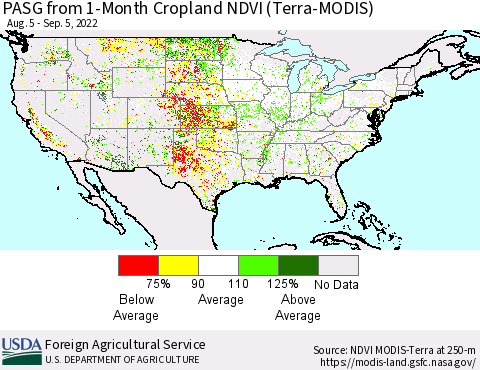 United States PASG from 1-Month Cropland NDVI (Terra-MODIS) Thematic Map For 9/1/2022 - 9/10/2022