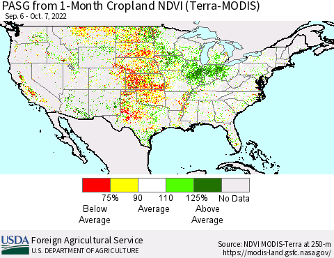 United States PASG from 1-Month Cropland NDVI (Terra-MODIS) Thematic Map For 10/1/2022 - 10/10/2022