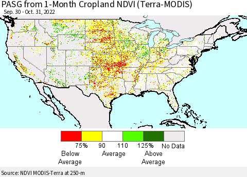 United States PASG from 1-Month Cropland NDVI (Terra-MODIS) Thematic Map For 10/21/2022 - 10/31/2022