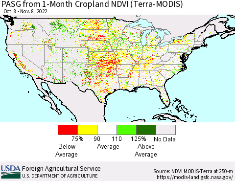 United States PASG from 1-Month Cropland NDVI (Terra-MODIS) Thematic Map For 11/1/2022 - 11/10/2022