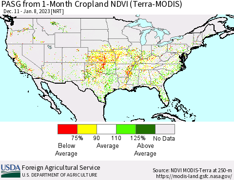 United States PASG from 1-Month Cropland NDVI (Terra-MODIS) Thematic Map For 1/1/2023 - 1/10/2023