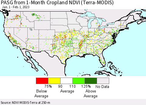 United States PASG from 1-Month Cropland NDVI (Terra-MODIS) Thematic Map For 1/25/2023 - 2/1/2023