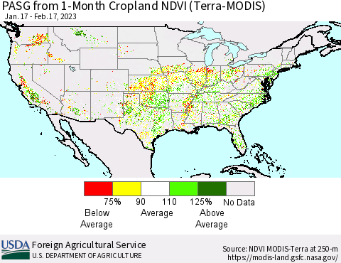 United States PASG from 1-Month Cropland NDVI (Terra-MODIS) Thematic Map For 2/11/2023 - 2/20/2023