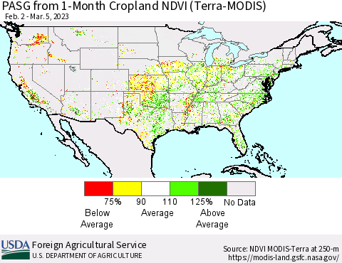 United States PASG from 1-Month Cropland NDVI (Terra-MODIS) Thematic Map For 3/1/2023 - 3/10/2023