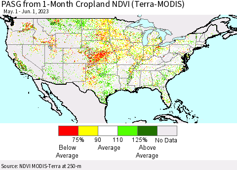 United States PASG from 1-Month Cropland NDVI (Terra-MODIS) Thematic Map For 5/25/2023 - 6/1/2023