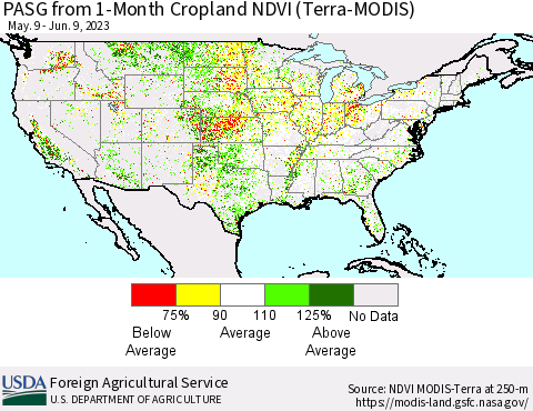 United States PASG from 1-Month Cropland NDVI (Terra-MODIS) Thematic Map For 6/1/2023 - 6/10/2023
