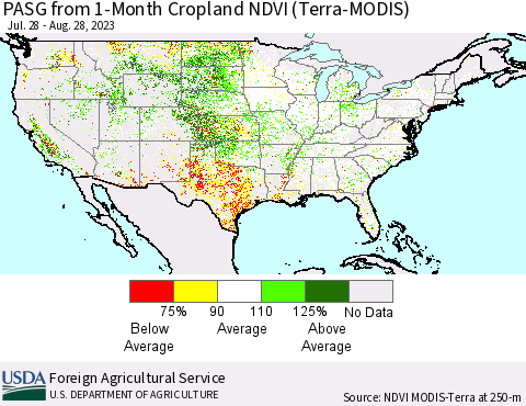 United States PASG from 1-Month Cropland NDVI (Terra-MODIS) Thematic Map For 8/21/2023 - 8/31/2023