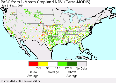 United States PASG from 1-Month Cropland NDVI (Terra-MODIS) Thematic Map For 1/25/2024 - 2/1/2024