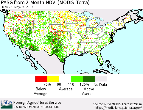 United States PASG from 2-Month NDVI (Terra-MODIS) Thematic Map For 5/21/2019 - 5/31/2019