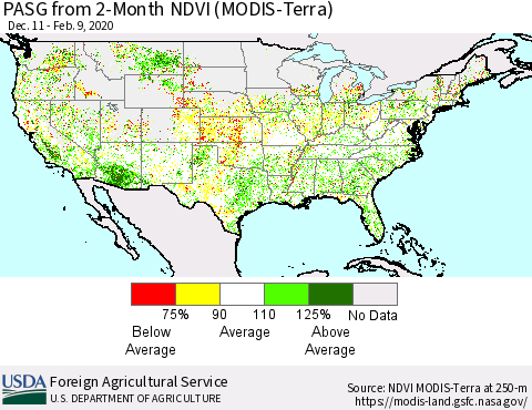 United States PASG from 2-Month NDVI (Terra-MODIS) Thematic Map For 2/1/2020 - 2/10/2020