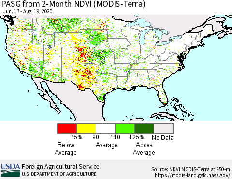 United States PASG from 2-Month NDVI (Terra-MODIS) Thematic Map For 8/11/2020 - 8/20/2020
