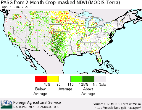 United States PASG from 2-Month Cropland NDVI (Terra-MODIS) Thematic Map For 6/11/2019 - 6/20/2019
