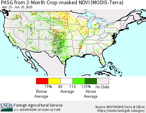 United States PASG from 2-Month Cropland NDVI (Terra-MODIS) Thematic Map For 6/21/2019 - 6/30/2019