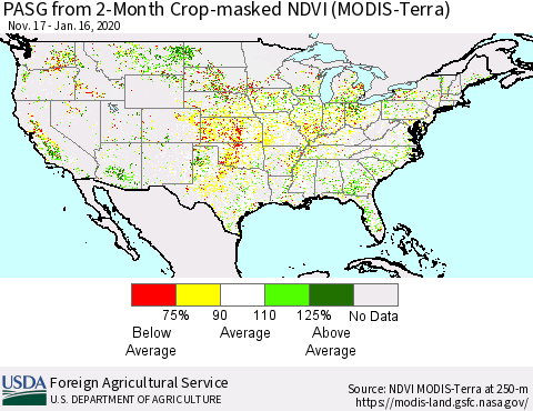 United States PASG from 2-Month Cropland NDVI (Terra-MODIS) Thematic Map For 1/11/2020 - 1/20/2020