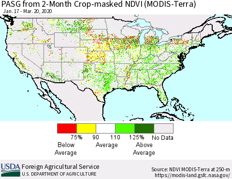 United States PASG from 2-Month Cropland NDVI (Terra-MODIS) Thematic Map For 3/11/2020 - 3/20/2020