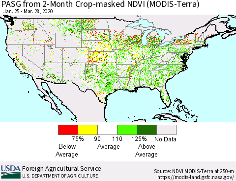 United States PASG from 2-Month Cropland NDVI (Terra-MODIS) Thematic Map For 3/21/2020 - 3/31/2020