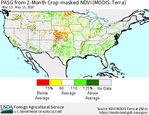 United States PASG from 2-Month Cropland NDVI (Terra-MODIS) Thematic Map For 5/11/2020 - 5/20/2020