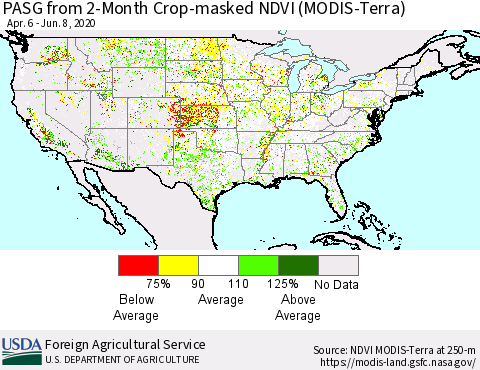 United States PASG from 2-Month Cropland NDVI (Terra-MODIS) Thematic Map For 6/1/2020 - 6/10/2020
