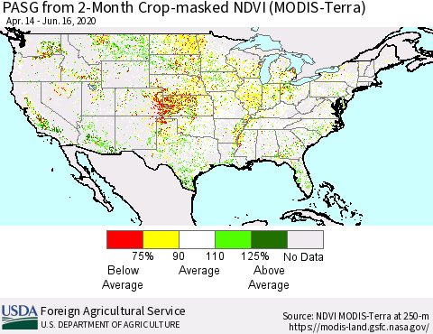 United States PASG from 2-Month Cropland NDVI (Terra-MODIS) Thematic Map For 6/11/2020 - 6/20/2020