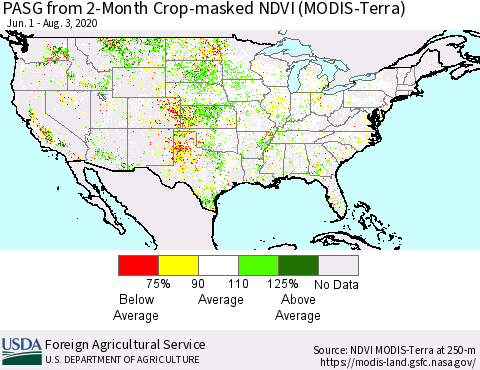 United States PASG from 2-Month Cropland NDVI (Terra-MODIS) Thematic Map For 8/1/2020 - 8/10/2020