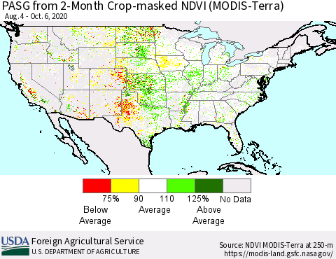 United States PASG from 2-Month Crop-masked NDVI (MODIS-Terra) Thematic Map For 10/1/2020 - 10/10/2020