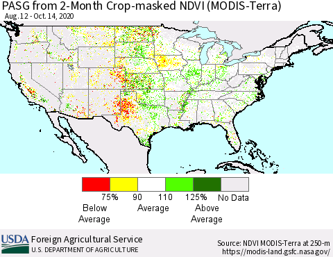 United States PASG from 2-Month Cropland NDVI (Terra-MODIS) Thematic Map For 10/11/2020 - 10/20/2020