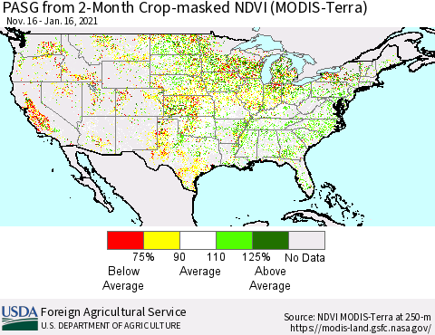 United States PASG from 2-Month Cropland NDVI (Terra-MODIS) Thematic Map For 1/11/2021 - 1/20/2021
