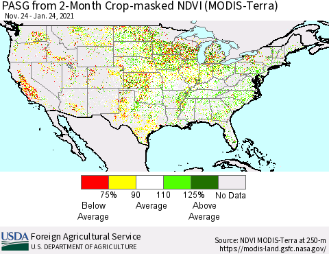 United States PASG from 2-Month Cropland NDVI (Terra-MODIS) Thematic Map For 1/21/2021 - 1/31/2021