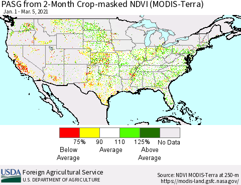 United States PASG from 2-Month Cropland NDVI (Terra-MODIS) Thematic Map For 3/1/2021 - 3/10/2021