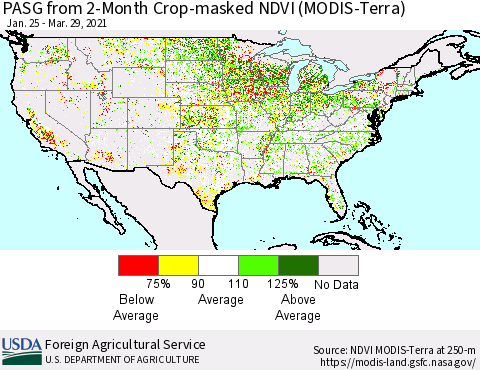 United States PASG from 2-Month Crop-masked NDVI (MODIS-Terra) Thematic Map For 3/21/2021 - 3/31/2021