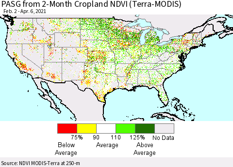 United States PASG from 2-Month Cropland NDVI (Terra-MODIS) Thematic Map For 3/30/2021 - 4/6/2021