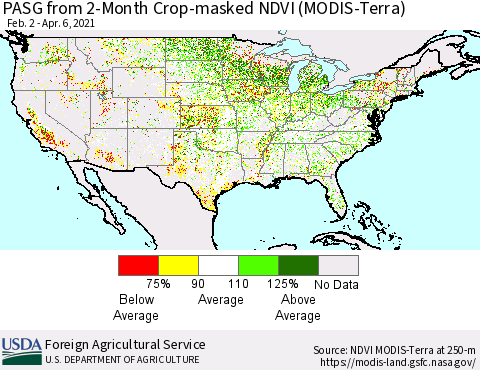 United States PASG from 2-Month Cropland NDVI (Terra-MODIS) Thematic Map For 4/1/2021 - 4/10/2021