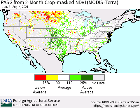 United States PASG from 2-Month Cropland NDVI (Terra-MODIS) Thematic Map For 8/1/2021 - 8/10/2021
