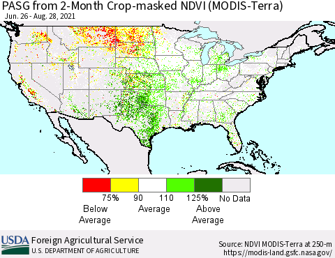 United States PASG from 2-Month Cropland NDVI (Terra-MODIS) Thematic Map For 8/21/2021 - 8/31/2021