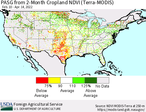 United States PASG from 2-Month Cropland NDVI (Terra-MODIS) Thematic Map For 4/11/2022 - 4/20/2022