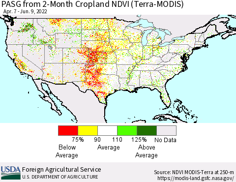 United States PASG from 2-Month Cropland NDVI (Terra-MODIS) Thematic Map For 6/1/2022 - 6/10/2022