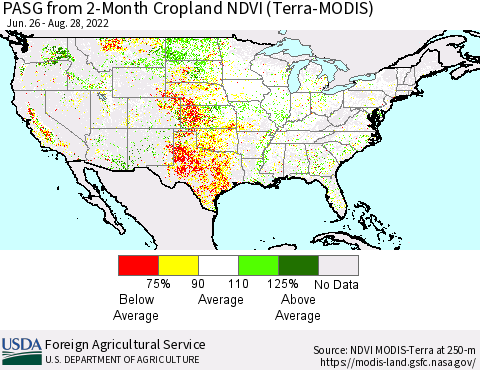 United States PASG from 2-Month Cropland NDVI (Terra-MODIS) Thematic Map For 8/21/2022 - 8/31/2022