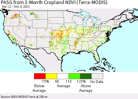 United States PASG from 2-Month Cropland NDVI (Terra-MODIS) Thematic Map For 2/2/2023 - 2/9/2023