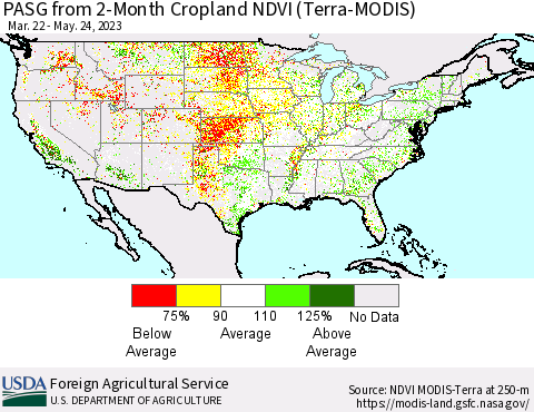 United States PASG from 2-Month Cropland NDVI (Terra-MODIS) Thematic Map For 5/21/2023 - 5/31/2023