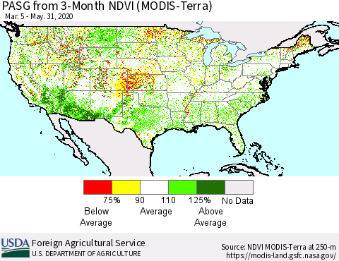 United States PASG from 3-Month NDVI (Terra-MODIS) Thematic Map For 5/21/2020 - 5/31/2020