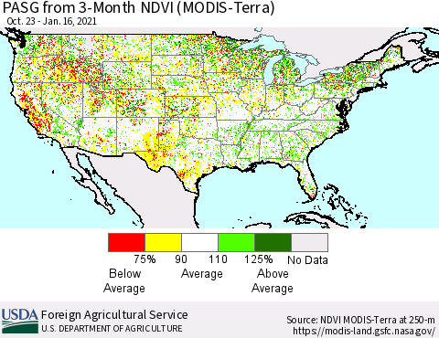 United States PASG from 3-Month NDVI (MODIS-Terra) Thematic Map For 1/11/2021 - 1/20/2021