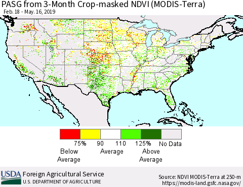 United States PASG from 3-Month Cropland NDVI (Terra-MODIS) Thematic Map For 5/11/2019 - 5/20/2019